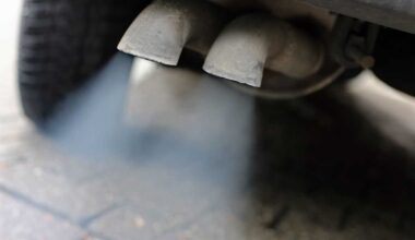Burned Out: Almost half of our community believes that overturning the combustion engine phase-out would harm the domestic industry.