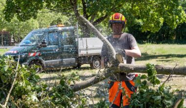 Spandauer Stadtrat warnt weiter vor Waldbesuch im Berliner Norden