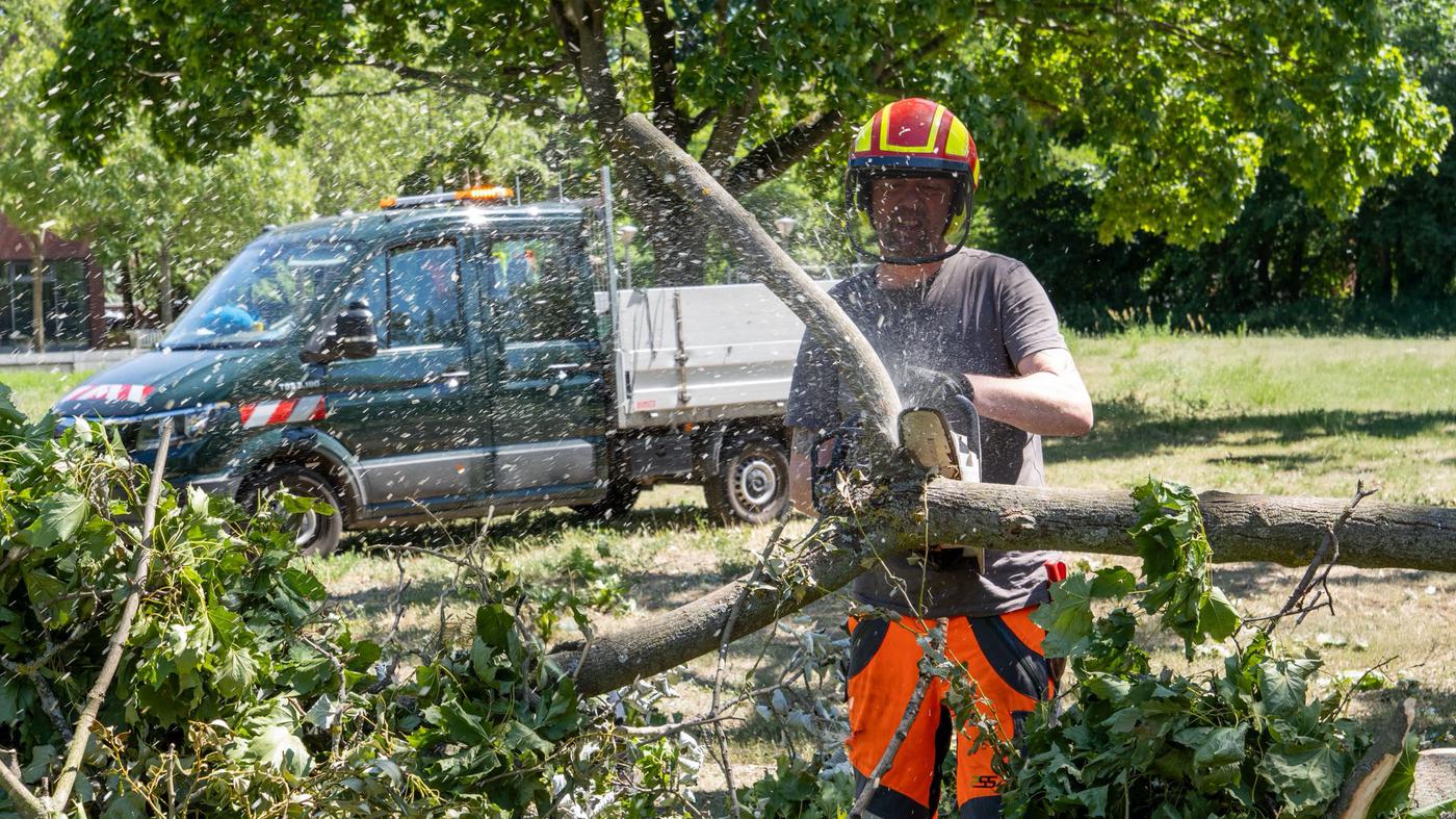 Spandauer Stadtrat warnt weiter vor Waldbesuch im Berliner Norden