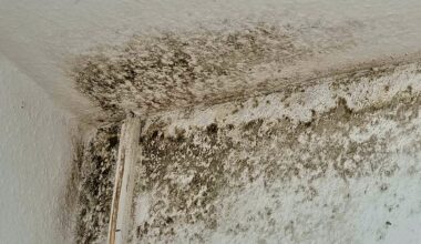 DEKRA: Schimmelursache auf den Grund gehen