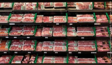 Mehr US-Schweinefleischbetriebe für den Export nach China zugelassen - Branchennews