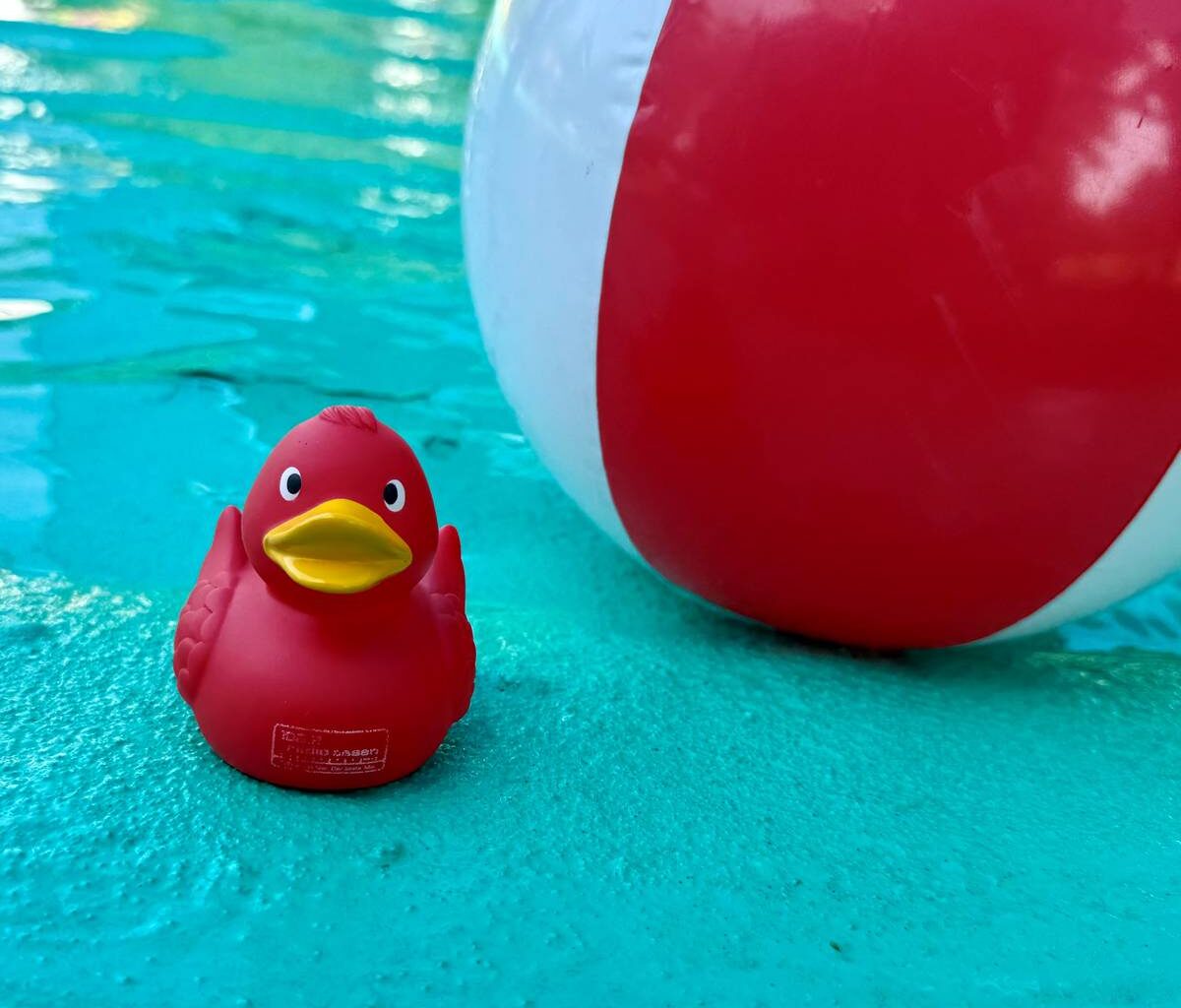 Verein in Essen bietet kostenlose Schwimmkurse an