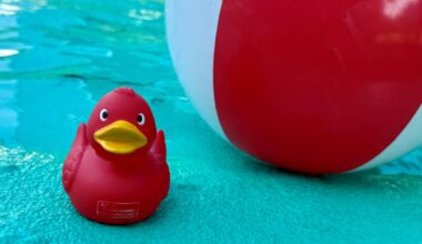 Verein in Essen bietet kostenlose Schwimmkurse an