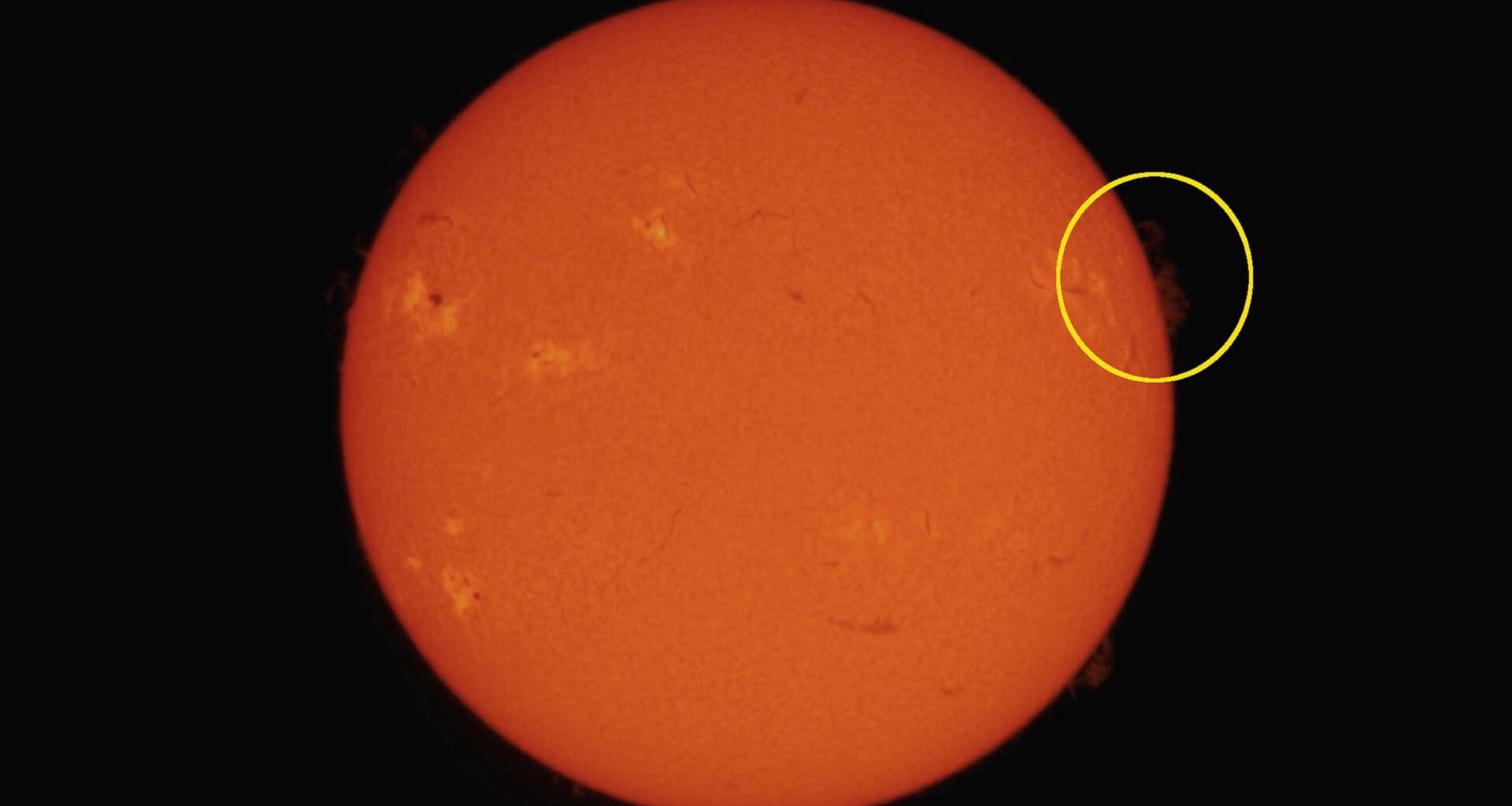 Eine Filteraufnahme unserer Sonne zeigt diese als orangen Stern, auf dessen Oberfläche Gas-Protuberanzen in den Kosmos schießen.