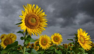 Bis zu 30 Grad trotz Schauern am Wochenende