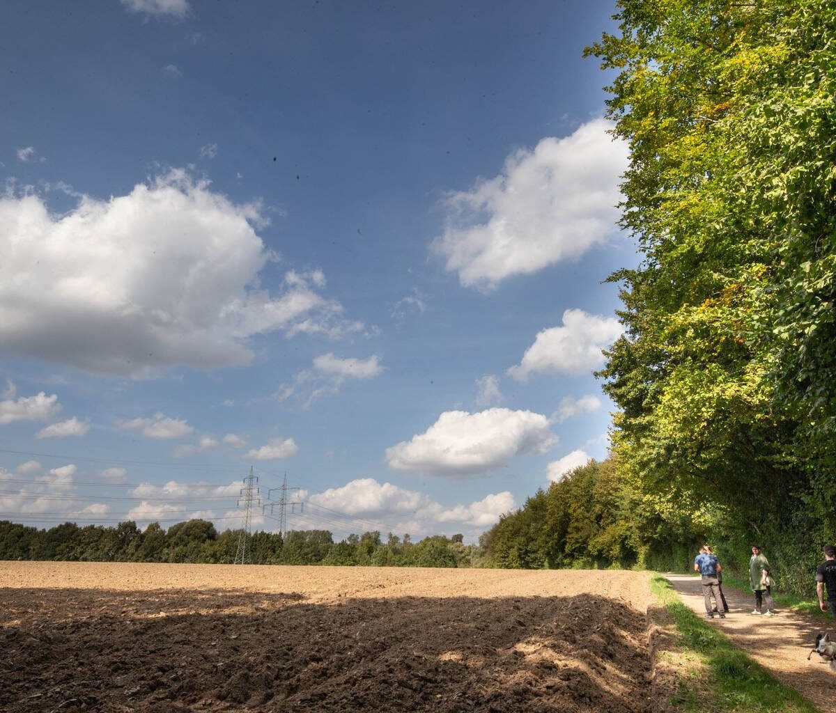 Gemeinsame Strategie für den Grünzug E in Bochum