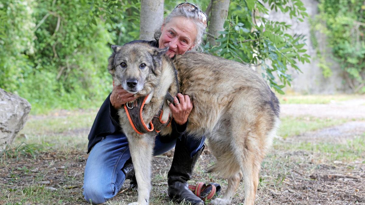 Warum eine Augsburgerin Hunde aus dem Ausland rettet