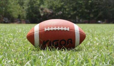 Nürnberg Hawks besiegen Hof Jokers