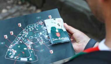 KidsClub-Events in den Sommerferien | FC Augsburg