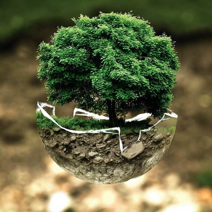 "Klimahelden" ausgezeichnet - Radio Emscher Lippe