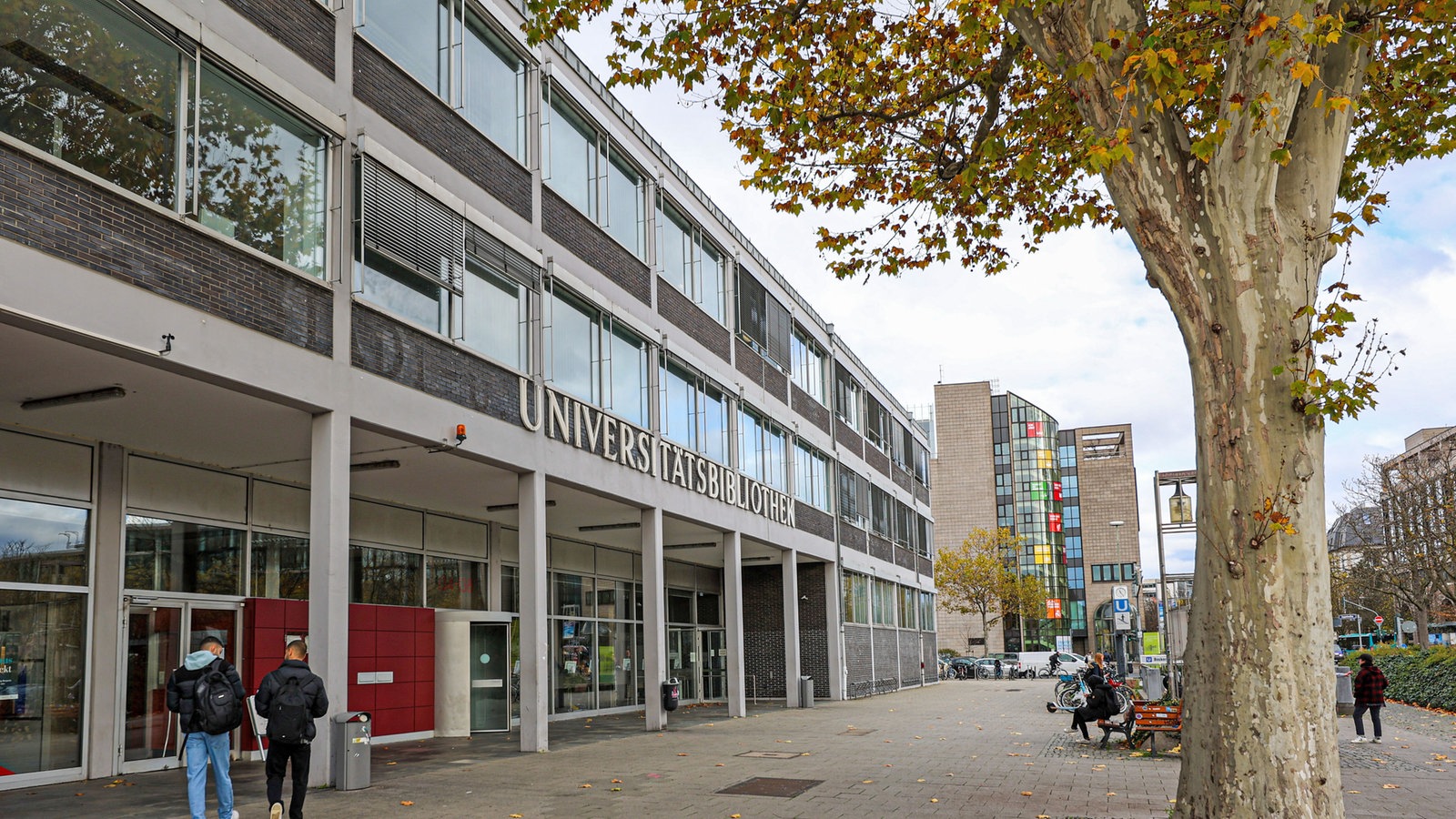Unibibliothek: rund 7.500 mutmaßlich geraubte Bücher - Kulturnachrichten - Kultur