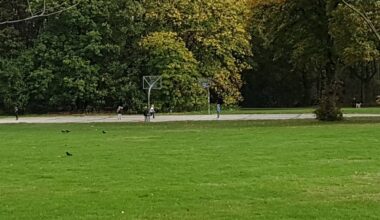 Ursache für tote Kaninchen weiter unklar