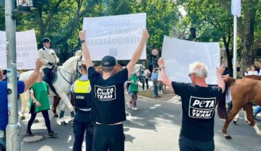 Peta-Protest gegen Pferde bei Schützen in Düsseldorf