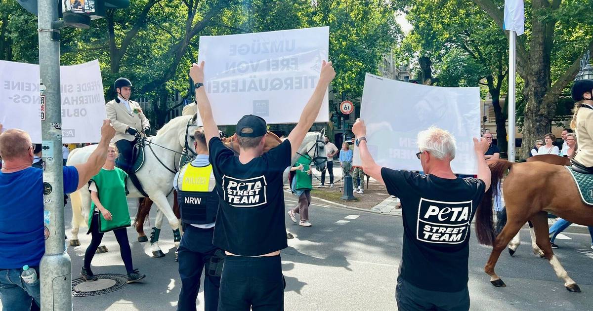 Peta-Protest gegen Pferde bei Schützen in Düsseldorf