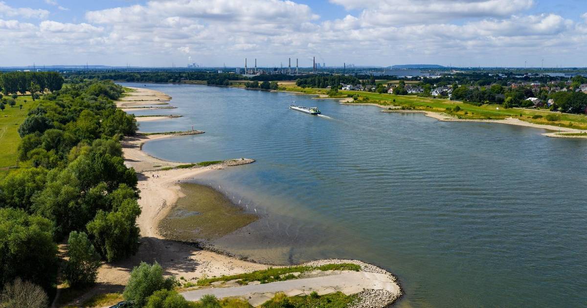Behördenchaos um Schwimmverbot im Rhein