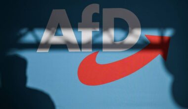 Staatsrechtler bewertet Probleme bei der AfD