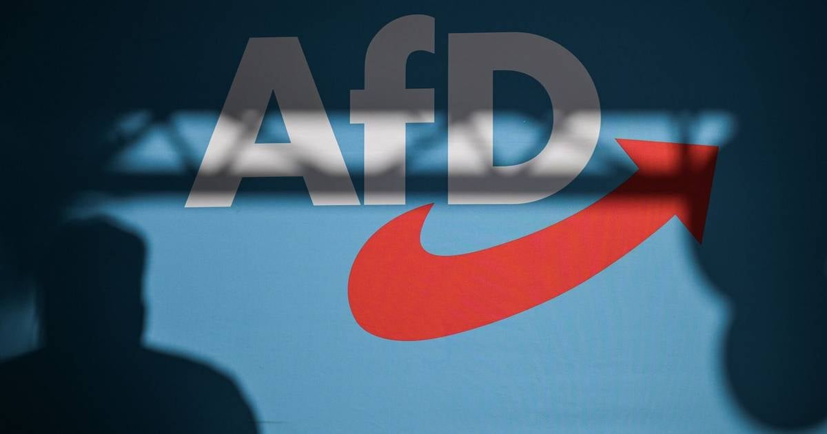 Staatsrechtler bewertet Probleme bei der AfD