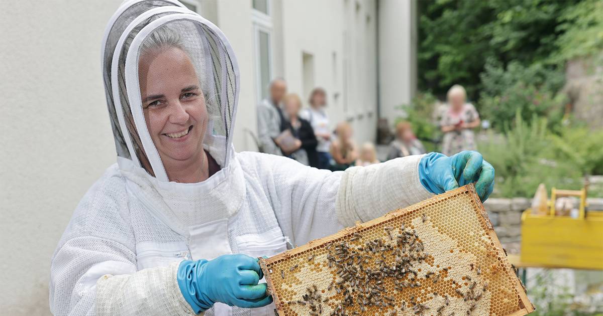 Imkerin Sandra Uchtenhagen über Bienen am Zeittunnel