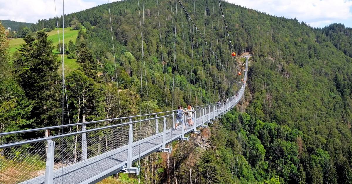 Hängebrücke in Solingen: „Das ergänzt sich genial“