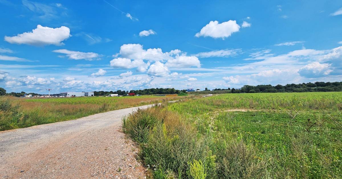 Münchheide V größte Infrastruktur-Projekt der Stadtwerke