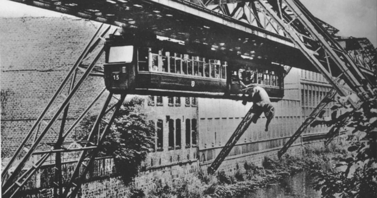 Als Elefant Tuffi am 21. Juli 1950 aus der Schwebebahn in die Wupper sprang