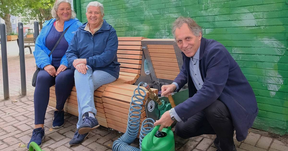 Düsseldorfs erste Regenwasserbank steht auf dem Hermannplatz
