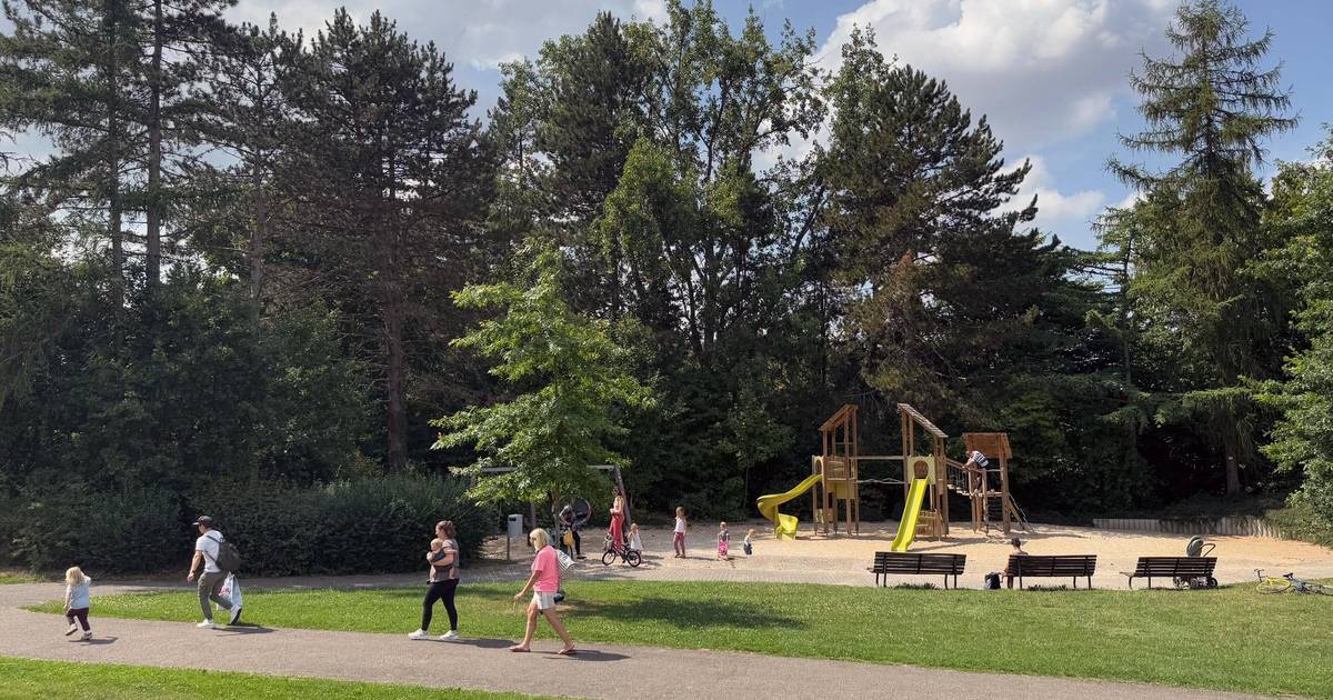 Das können Familien kostenlos rund um Bonn unternehmen 