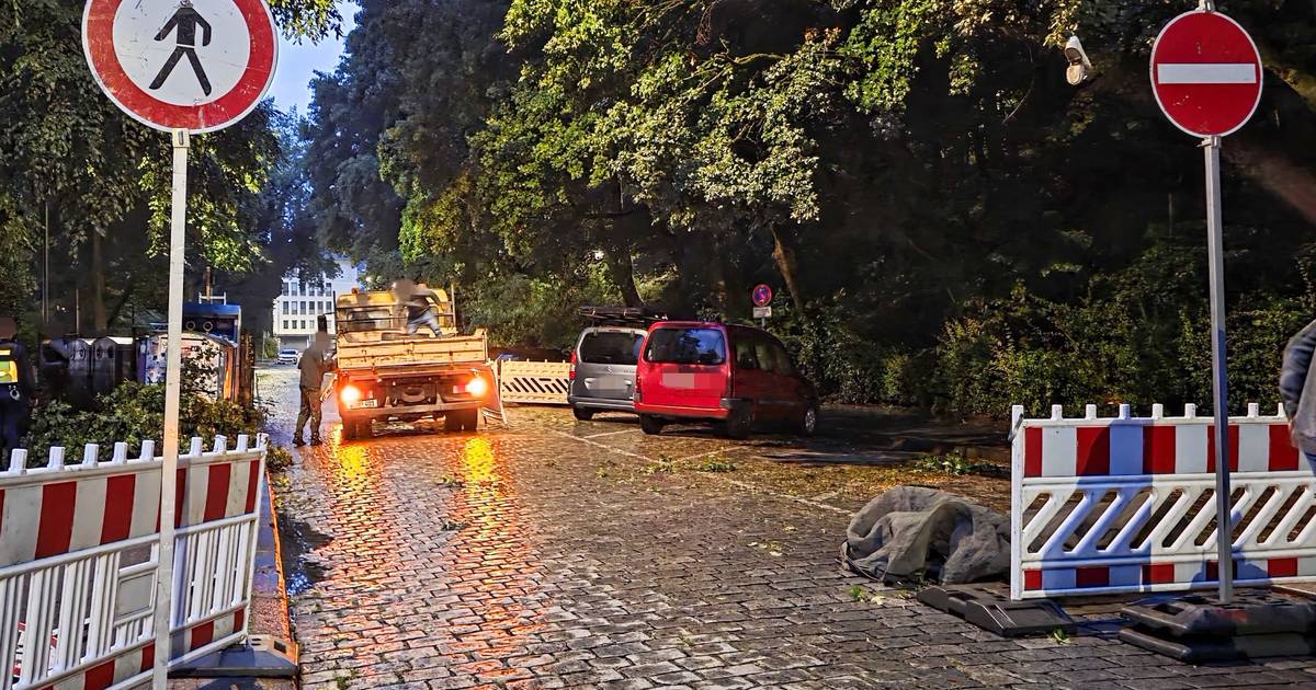 Baum droht auf Autos zu stürzen: Einsatz in Wuppertal