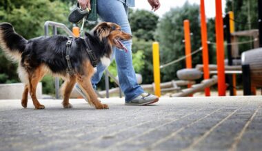 Ärger mit Hundebesitzern im Haaner Bachtal
