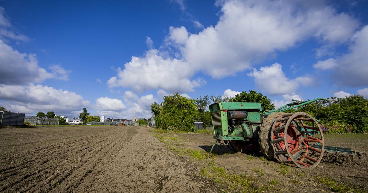 Supermarkt in Düsseldorf-Hamm: Es geht voran