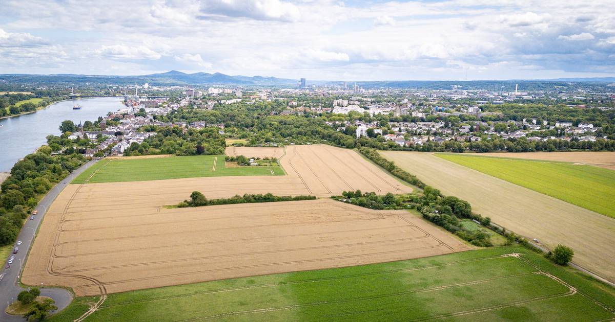 Haushalt in Bonn