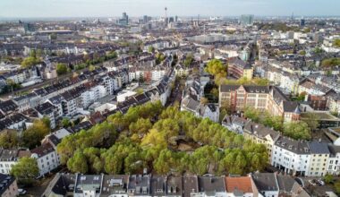 Düsseldorf soll grüner werden – Aktion zur Entsiegelung startet