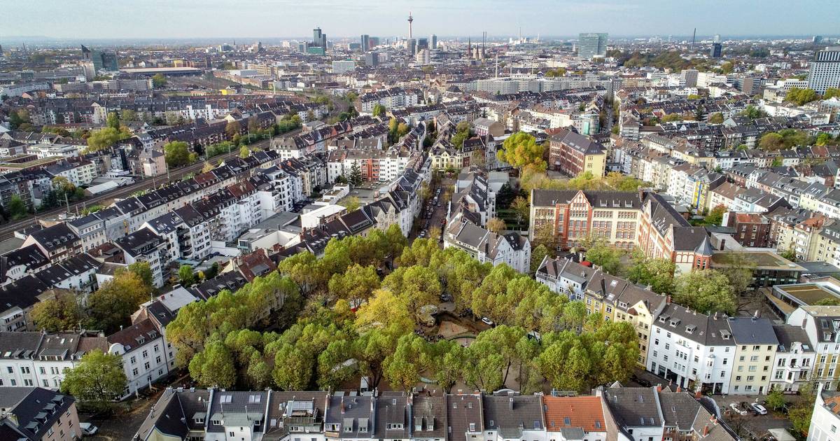 Düsseldorf soll grüner werden – Aktion zur Entsiegelung startet