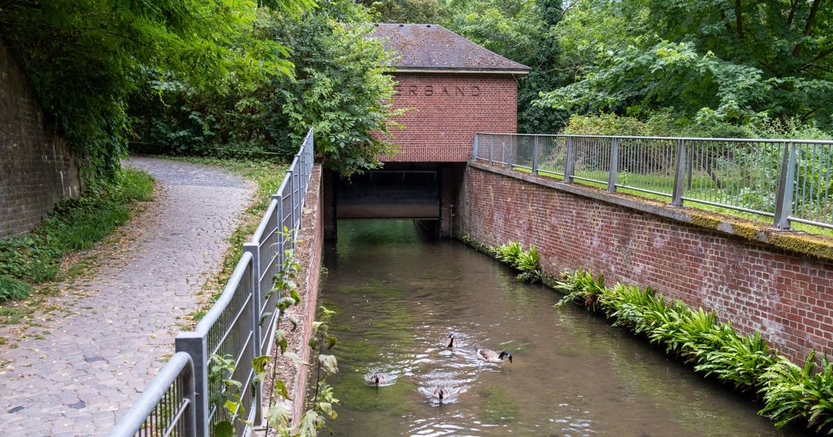 Niersverband saniert Hochwasserrückhaltebecken in Odenkirchen