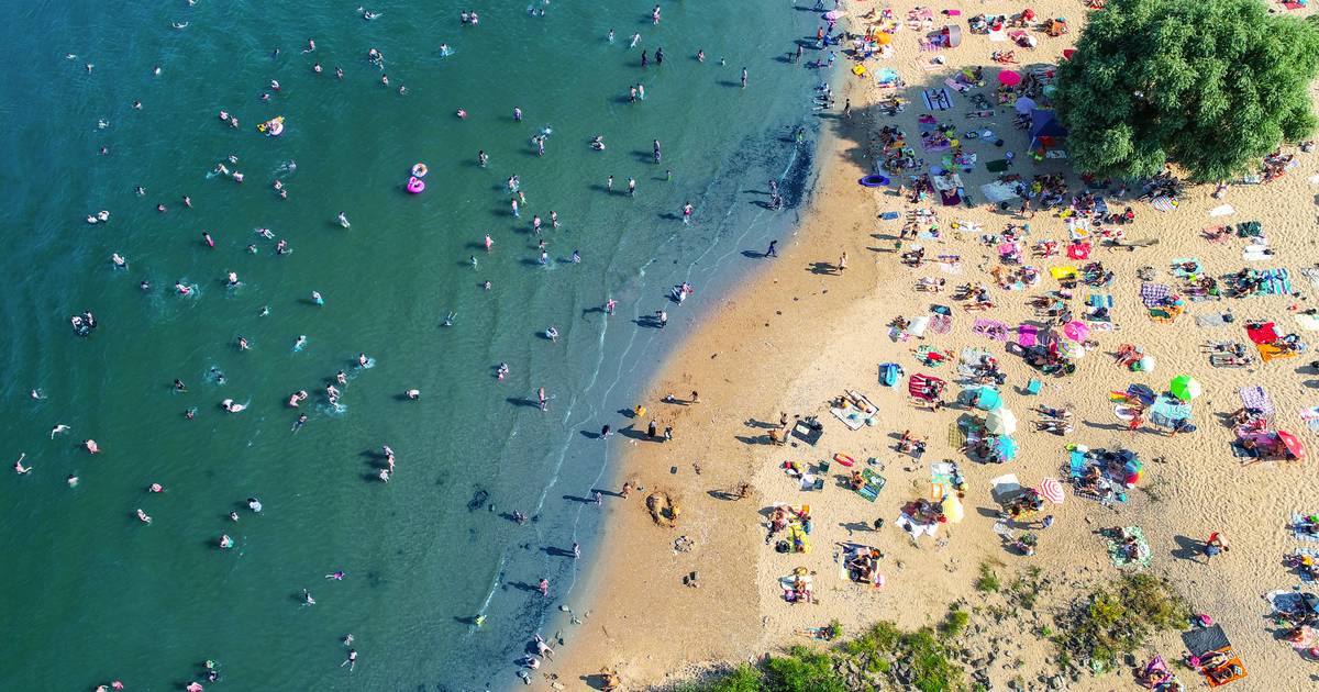 Badeverbot im Rhein wäre der falsche Fokus der Stadt