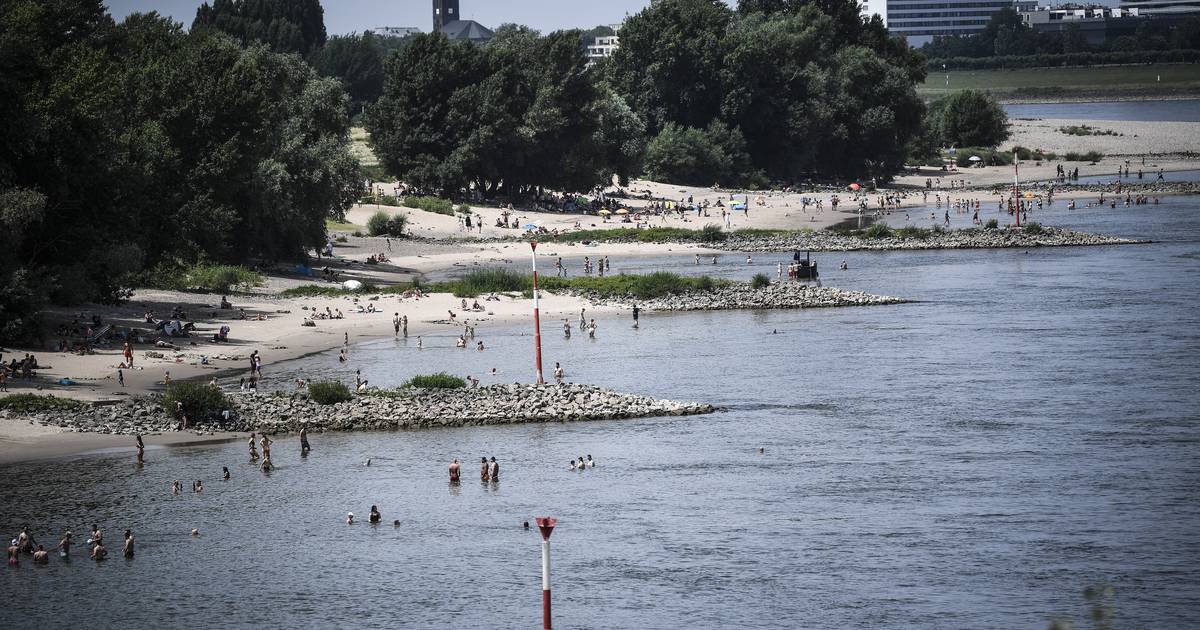 Düsseldorf: Wieder ein Mensch im Rhein ertrunken