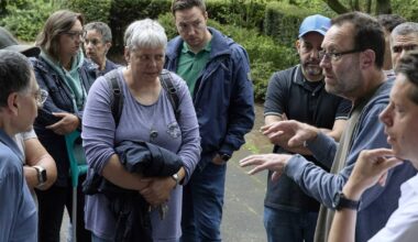 Zwei geplante Bäume sorgen in der Wuppertaler Südstadt für dicke Luft