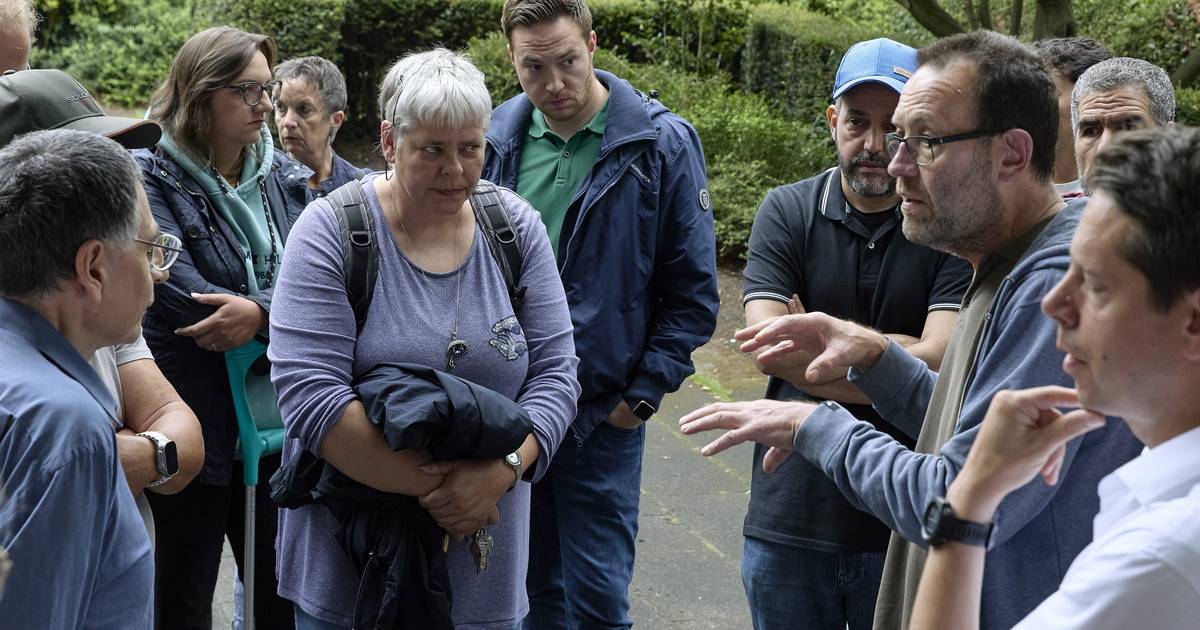 Zwei geplante Bäume sorgen in der Wuppertaler Südstadt für dicke Luft