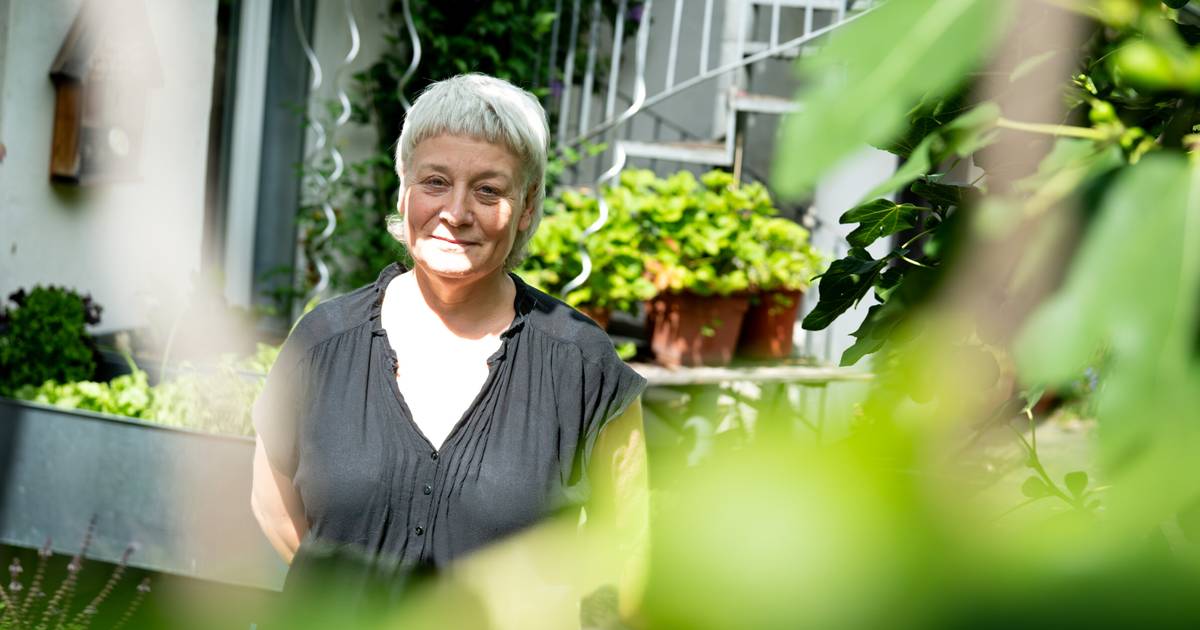 Tigermücke nervt Gartenbesitzer in Oberkassel