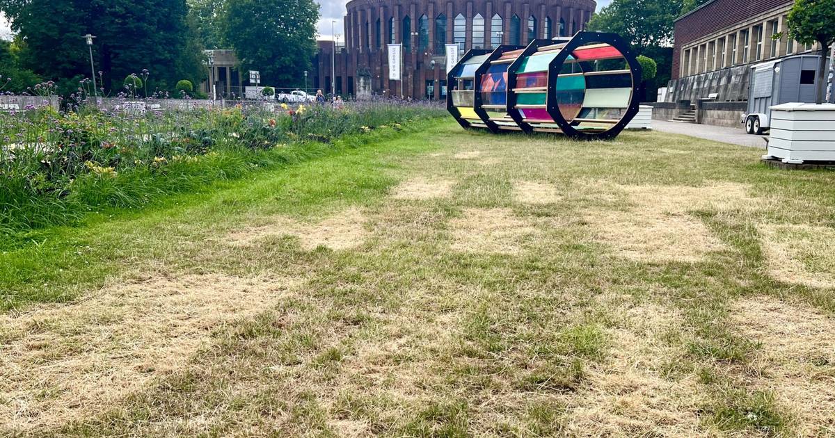 Kunstwerk versengt Rasen im Ehrenhof