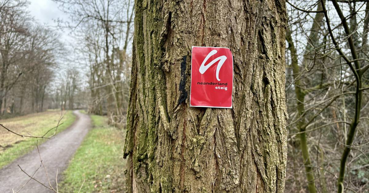 Überarbeitet Broschüre führt durch den Neanderland-Steig