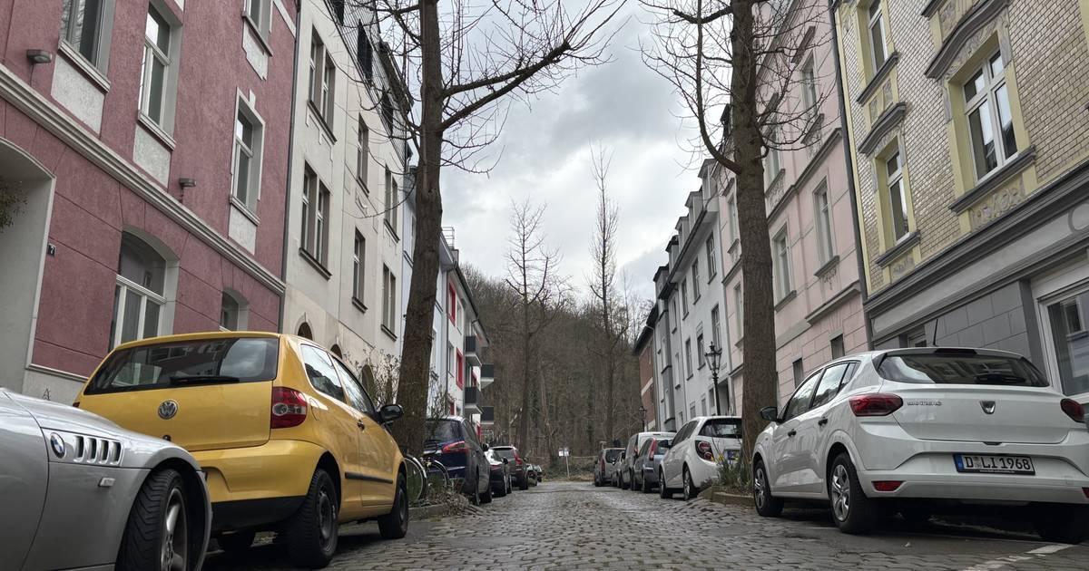Stadt hält an Asphaltierung fest