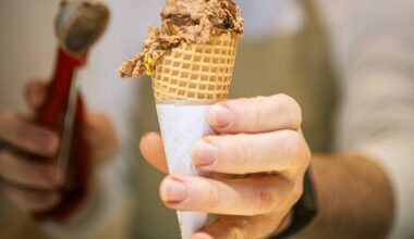Düsseldorf hat zweitmeiste Eisdielen pro 100.000 Einwohenr