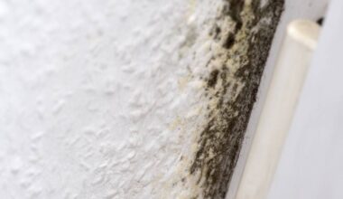 Straßburg: „Vermietungsgenehmigung“ gegen maroden Wohnraum