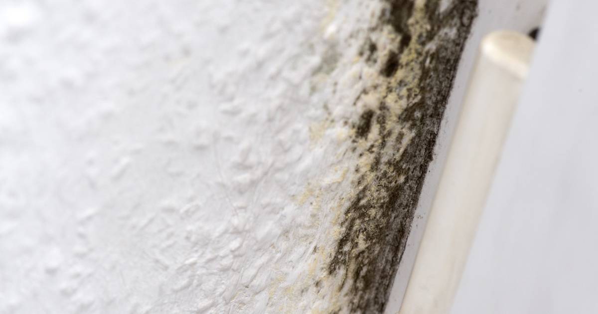 Straßburg: „Vermietungsgenehmigung“ gegen maroden Wohnraum