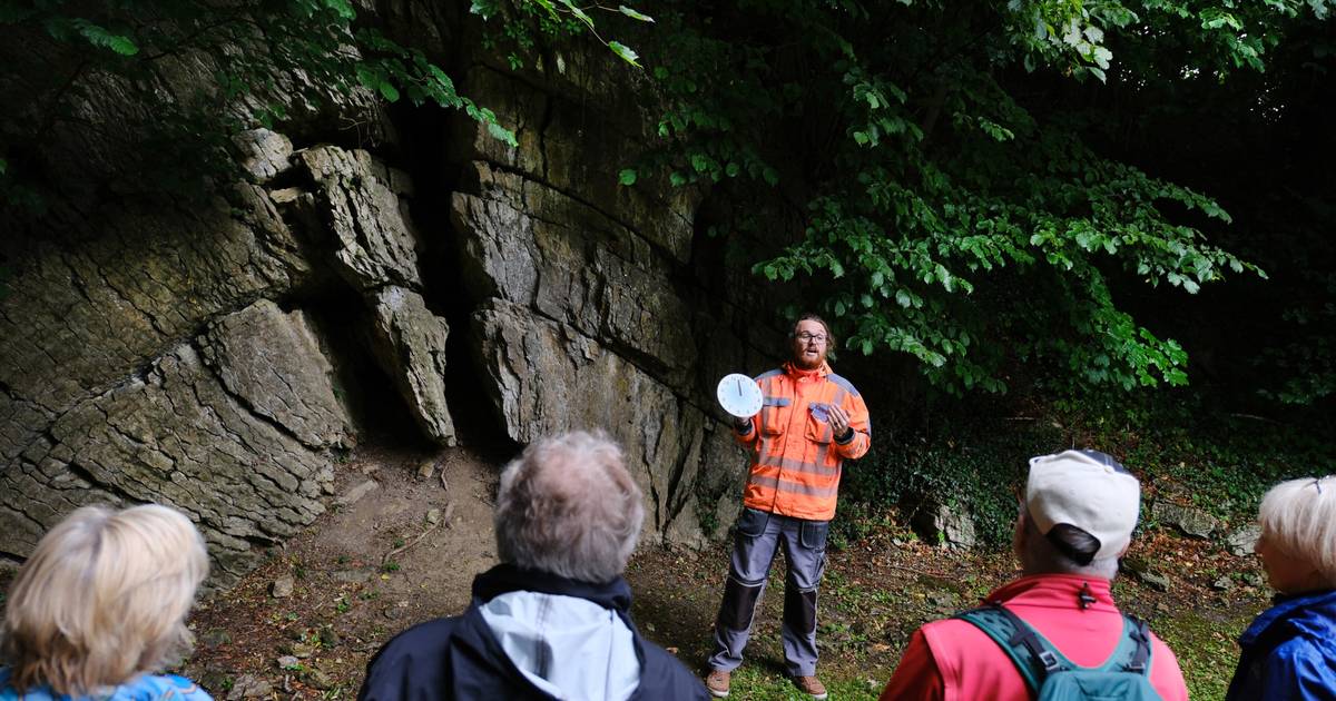 Das verrät der Tillmannsdorfer Sattel über die Erdgeschichte