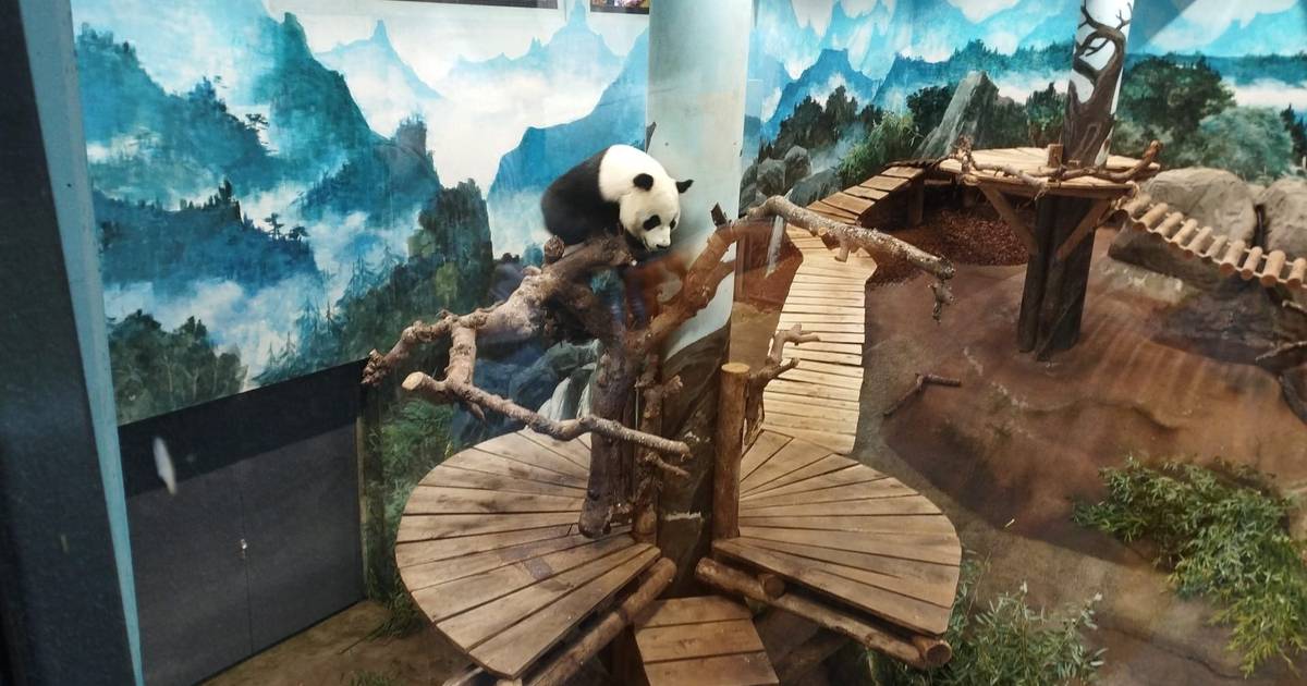 Zoos in 90 Minuten Entfernung