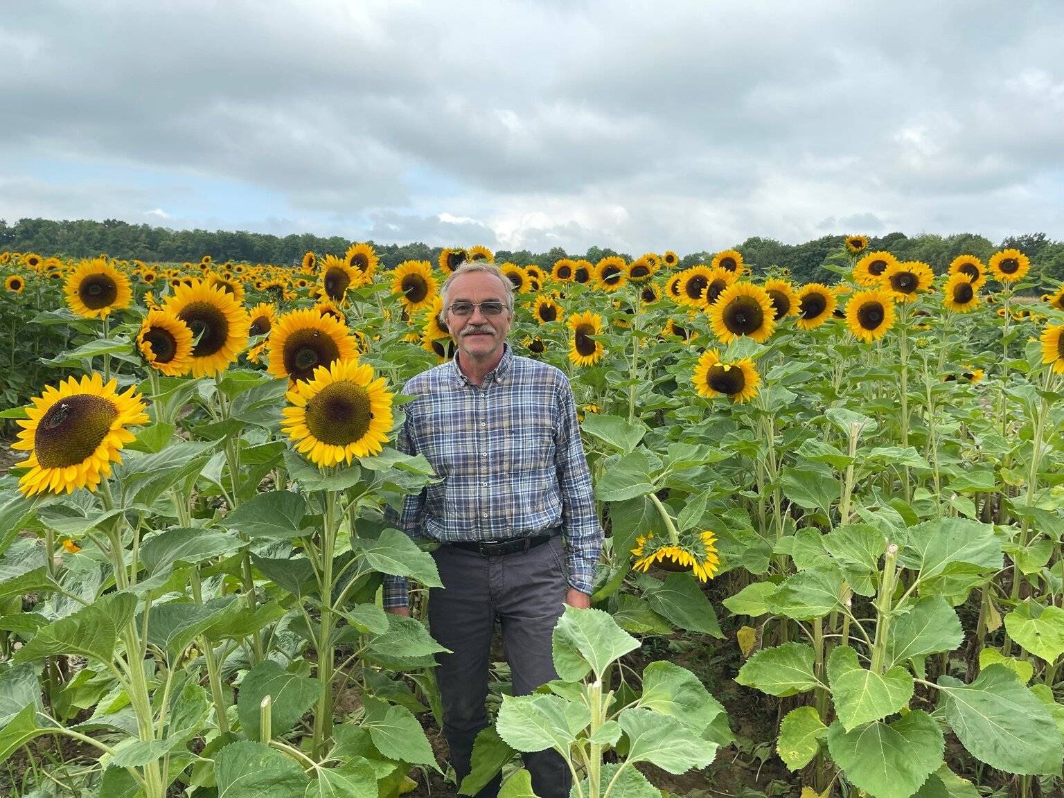Landwirt Stefan Hünten steht zwischen seinen Sonnenblumen.