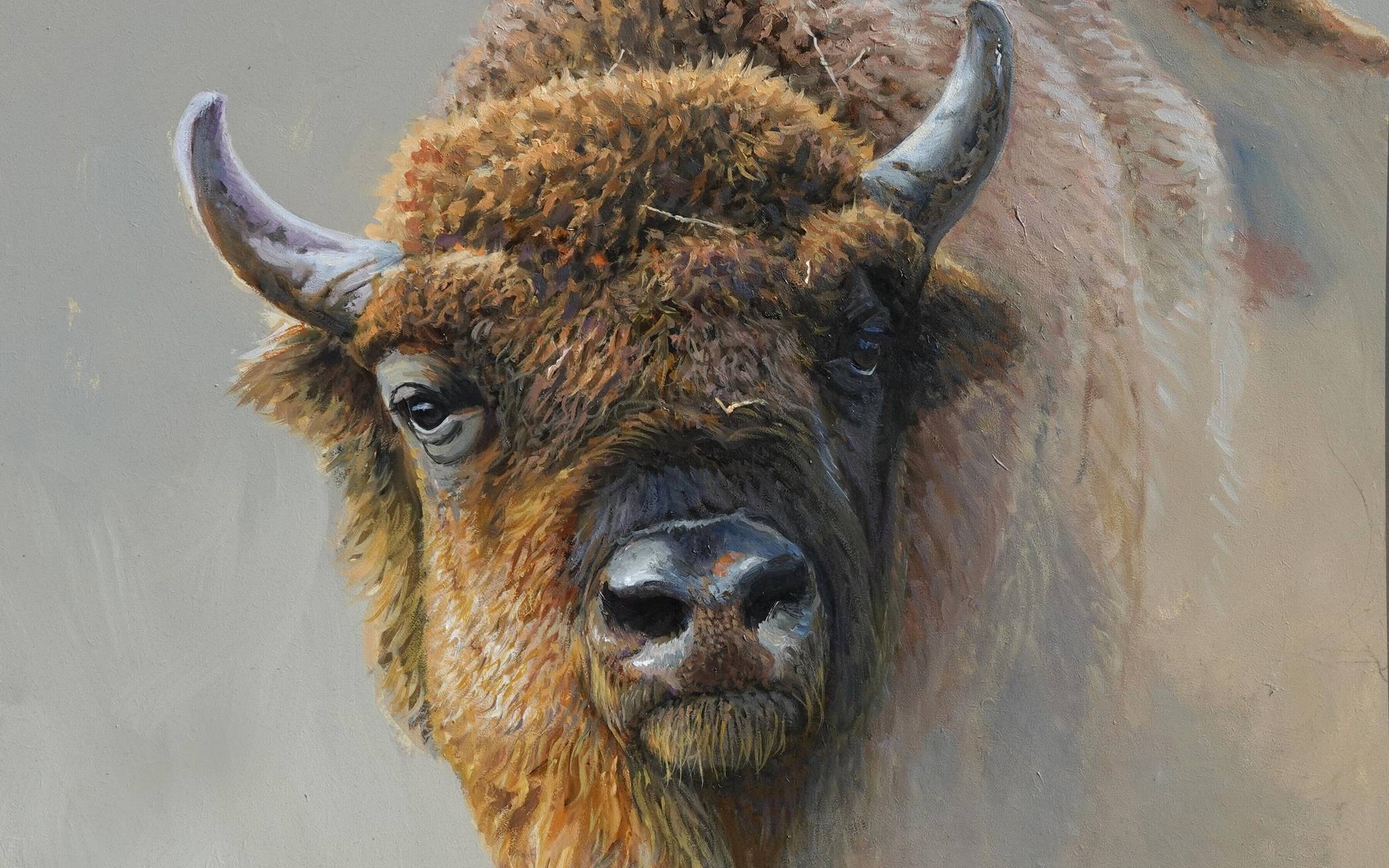 Eine wilde Schönheit: Bernd Pöppelmanns Portrait eines Wisents ist auch im Haus der Natur zu sehen.