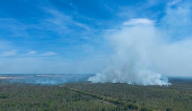 Waldbrände in Brandenburg: Geruch zieht bis Berlin